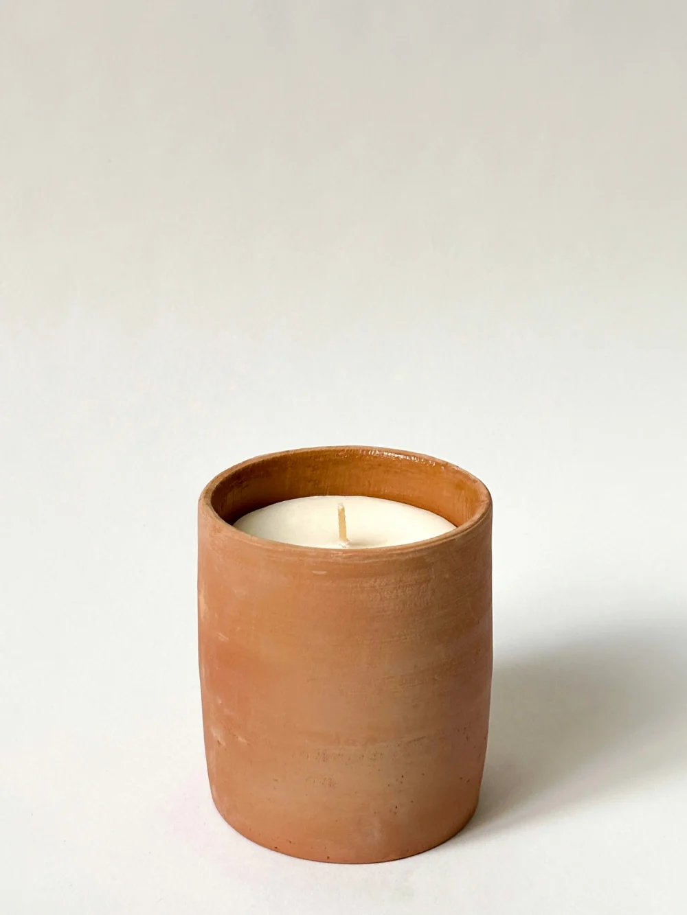 Fresh fig terracotta